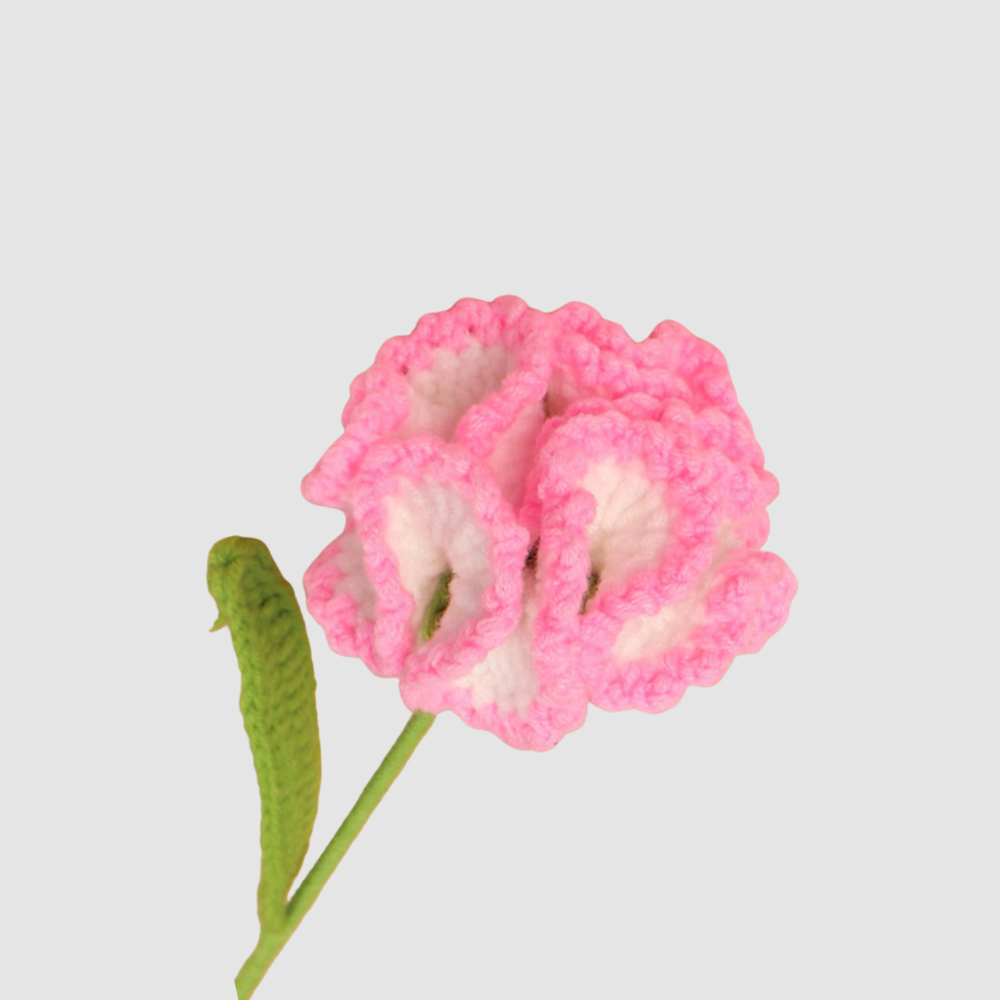 Anjer