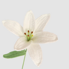 Lelie wit