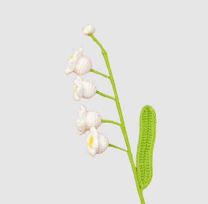 Campanula